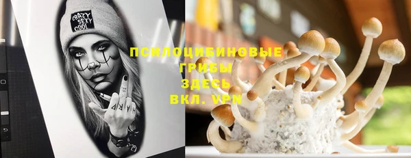 не бодяженный Бородино