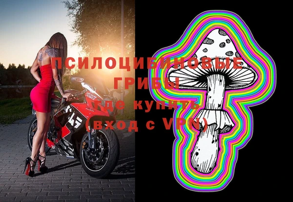 не бодяженный Бородино
